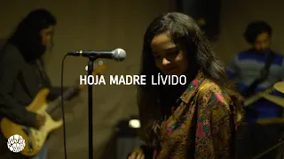 Hoja Madre - Lívido (Sesiones 2022)