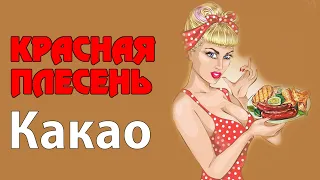 Красная Плесень - Какао | Лучшие песни