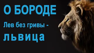 О бороде. Первый Апостольский собор отменил ли бороду?.