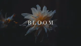 Bloom | Canon EOS M (Cinematic)