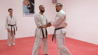 Atemi • Striking in Jujutsu (Jujitsu / Jiu-Jitsu) Self Defense