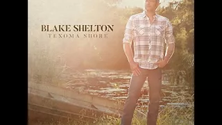 Blake Shelton - I'll Name The Dogs