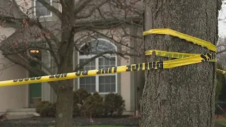 Woman, 2 men found dead inside Dublin home in apparent murder-suicide, police say