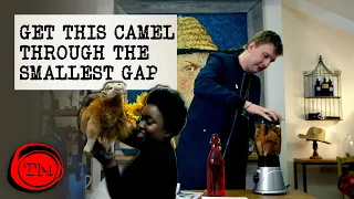 Get this Camel Through the Smallest Gap | Full Task | Taskmaster