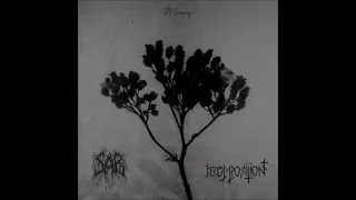 02. Decomposition - Heavenly Cry