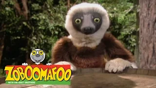 Zoboomafoo 223 - Grow, Zoboo, Grow (Full Episode)