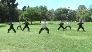 Wugong Kung Fu - Formas