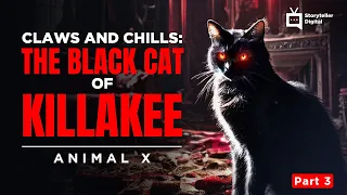 Part 3 Black Cat of Killakee | Storyteller Media