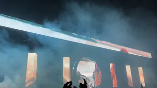 Seven lions @ nocturnal wonderland