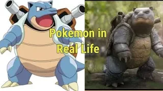 Pokemon in real life all characters 2019