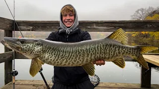 Insane GIANT TIGER MUSKY from the PUBLIC Dock! (Caught Sight Fishing)