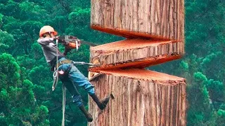 Vídeos satisfatórios de trabalhadores fazendo seu trabalho com perfeição