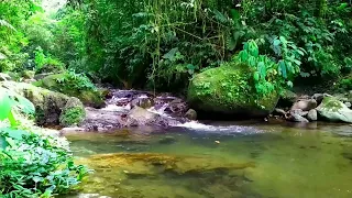 The calm flow of water makes the heart and mind calmer, the sound of nature, the sound of water ASMR