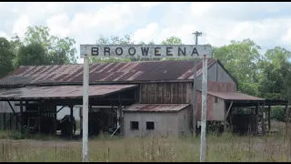 Body of a Calf with a Human Head - possible Yowie ( Bigfoot ) sighting at Brooweena in 1909