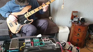 Beastie Boys - Gratitude - Bass Cover