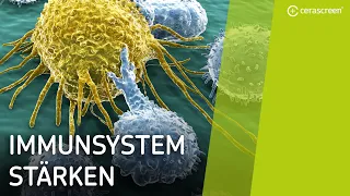 So kannst du dein Immunsystem stärken | Tipps für ein starkes Immunsystem