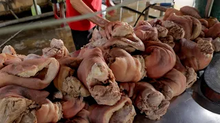 滷豬腳,腿庫,三層肉,爌肉飯製作How Much Pork Can You Eat? Braised Pork Making - Taiwan Street Food