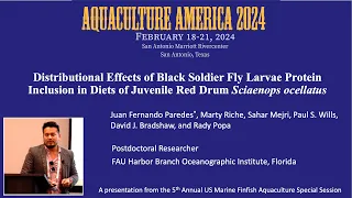 Distributional Effects of Black Soldier Fly Larvae Protein Inclusion in Diets of Juvenile Red Drum