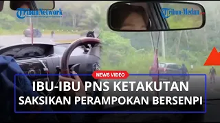 Viral Video Ibu-Ibu PNS Ketakutan Rekam Aksi Perampokan Bersenpi, Mobil Dihadang Pakai Kayu