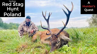 An Epic Hunt in the Wilds of Poland After Free Range Red Stag