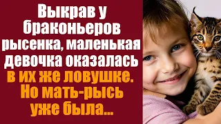 Выкрав у браконьеров рысёнка, маленькая девочка оказалась в их же ловушке, но мать рысь уже была...