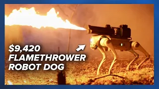 Thermonator, the $9,420 flamethrower robot dog, now available for purchase