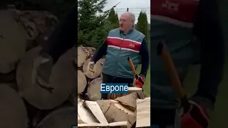 Лукашенко наколол дров, чтобы Европа не замерзла