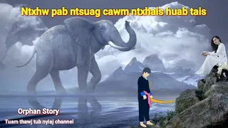 Dab neeg -Orphan Story | Ntxhw pab ntsuag cawm ntxhais huab tais 21/11/2022