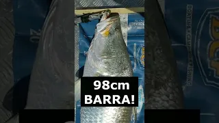 98cm BARRA! 😲 Fishing NT Australia #shorts