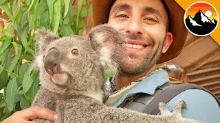 Koala Gives the STINKIEST Hugs!