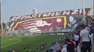 Coreografia Salernitana  Verona  20/05/2024