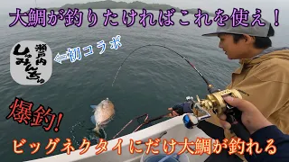 一目瞭然!?大物釣りたいならこれ!!ビッグネクタイにだけ大鯛が連発した!!チャンネル初コラボも!!