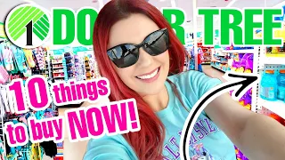 10 REASONS WHY EVERYONE should shop at DOLLAR TREE this summer!