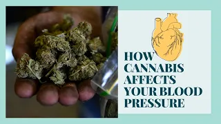 How Cannabis Affects Your Blood Pressure