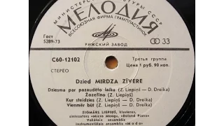 Mirdza Zivere - Vienmer but