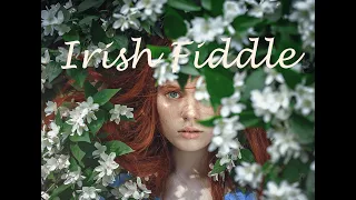 Traditional Irish Fiddle Mix | Celtic Feel Goods