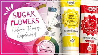 Sugar Flowers Colour Theory 🎨 Combinations & Mixing Explained 💐