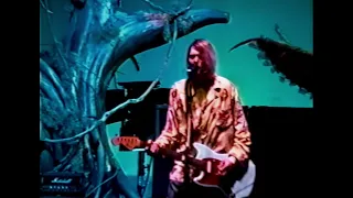 Nirvana - Heart Shaped-Box (Great Western Forum, Los Angeles, CA, 1993) (4K 30 FPS)