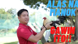 SABONG TIPS: Paano Gumawa Ng Alas Na Manok Panabong