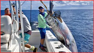 CRAZY $100000000 FISH Catch Clean Cook GIANT BlueFin TUNA | Bluefin Tuna | Giant Tuna | Sushi Tuna.