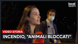 Milano, palazzo a fuoco in via Antonini. La testimonianza: "animali bloccati all'interno"