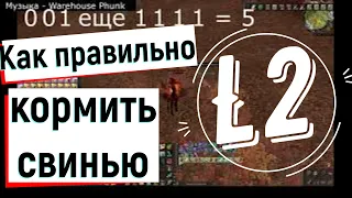 Как правильно кормить свинью Л2. L2, Scryde.