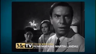 MeTV Remembers Martin Landau