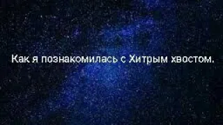 Как я познакомилась с Хитрым хвостом.