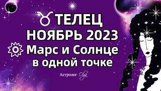 ♉ТЕЛЕЦ - НОЯБРЬ 2023 СОЛНЦЕ - МАРС и САТУРН. Астролог Olga