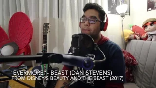 "Evermore" a Beauty and the Beast Cover