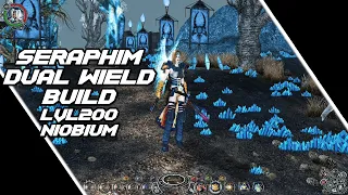 Sacred 2 - Seraphim Dual Wield Build