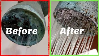 Cleaning a shower head in 30 mins | how to clean a clogged Shower | DIY
