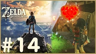 Zelda: Breath Of The Wild - Heart Container (14)