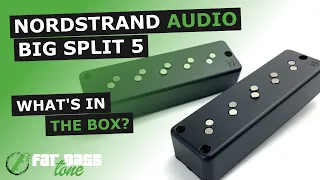 Nordstrand Big Split 5 Bass Pickup Set: What’s In The Box (A Close-Up Look)